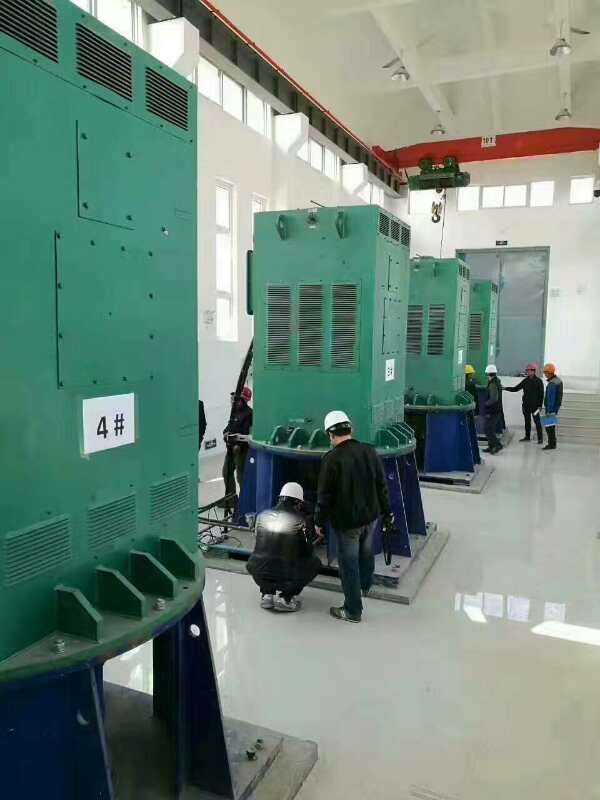 岭口镇某污水处理厂使用我厂的立式高压电机安装现场