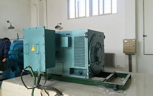 岭口镇某水电站工程主水泵使用我公司高压电机